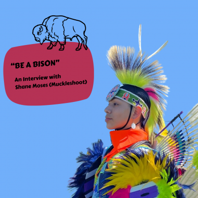 “BE A BISON”